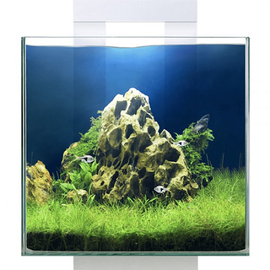 ciano-nexus-pure-15-led_2-550x550 Ενυδρείο 14L Ciano Nexus Pure 15LED (25*25*31.5cm) - Image 2