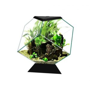 Ενυδρείο 14L Ciano Nexus Pure 14C (35.4*41.8*36.8cm)