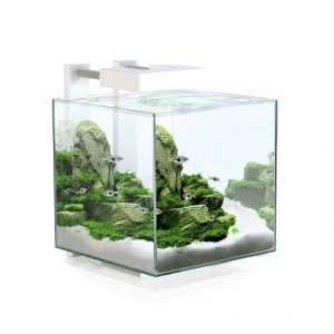Ενυδρείο 14L Ciano Nexus Pure 15LED (25*25*31.5cm)